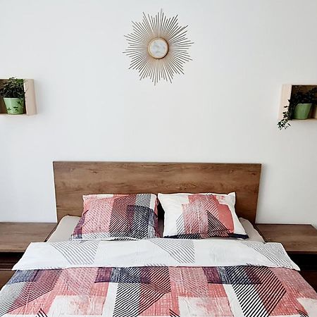 Larisa Apartment 克卢日-纳波卡 外观 照片