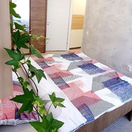 Larisa Apartment 克卢日-纳波卡 外观 照片