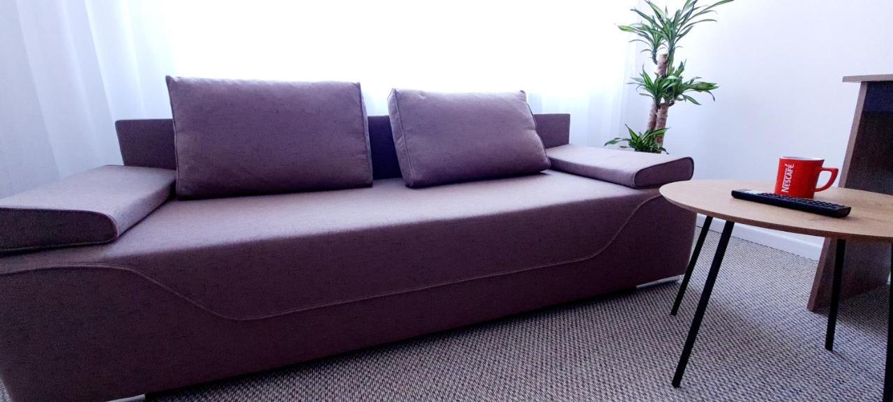 Larisa Apartment 克卢日-纳波卡 外观 照片