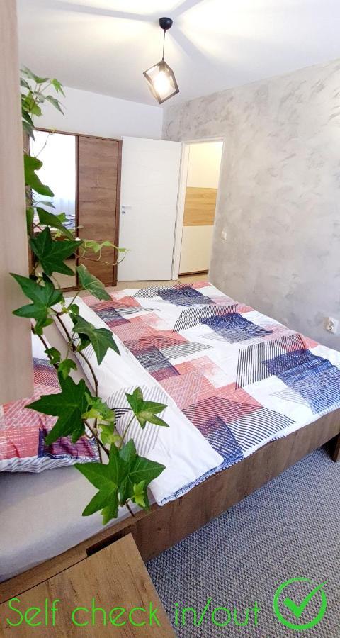 Larisa Apartment 克卢日-纳波卡 外观 照片