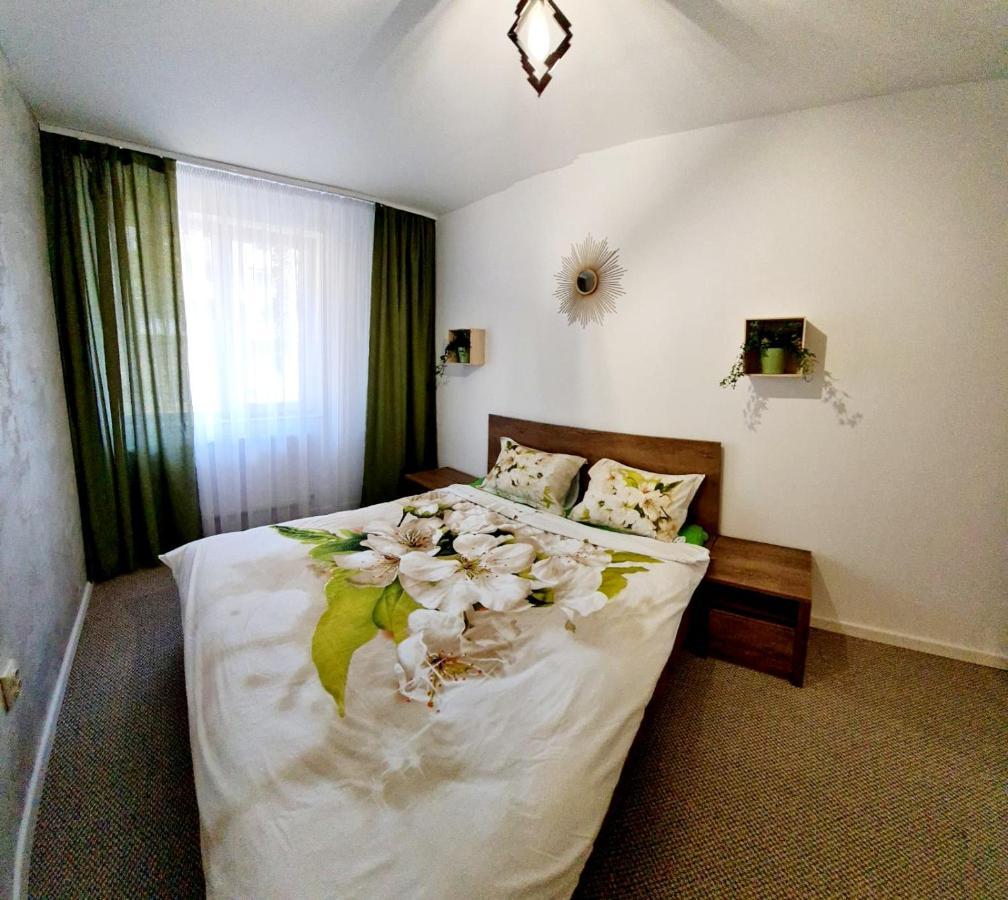 Larisa Apartment 克卢日-纳波卡 外观 照片